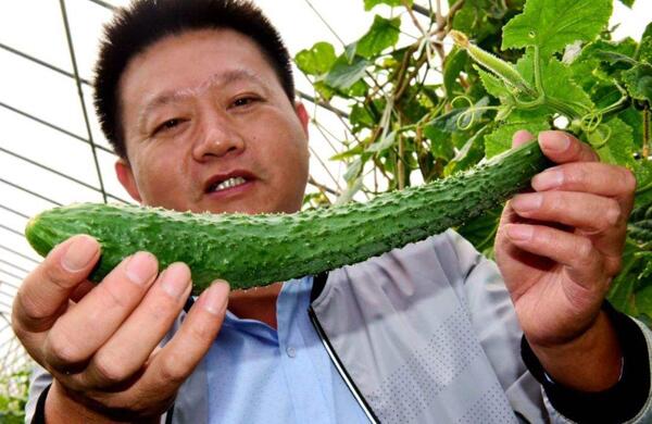 生鮮食材配送為什么大多不能與客戶建立長期合作？